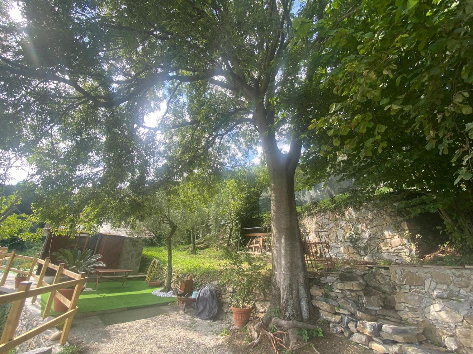 La Sosta Al Bagolaro Apartment Rapallo Bagian luar foto