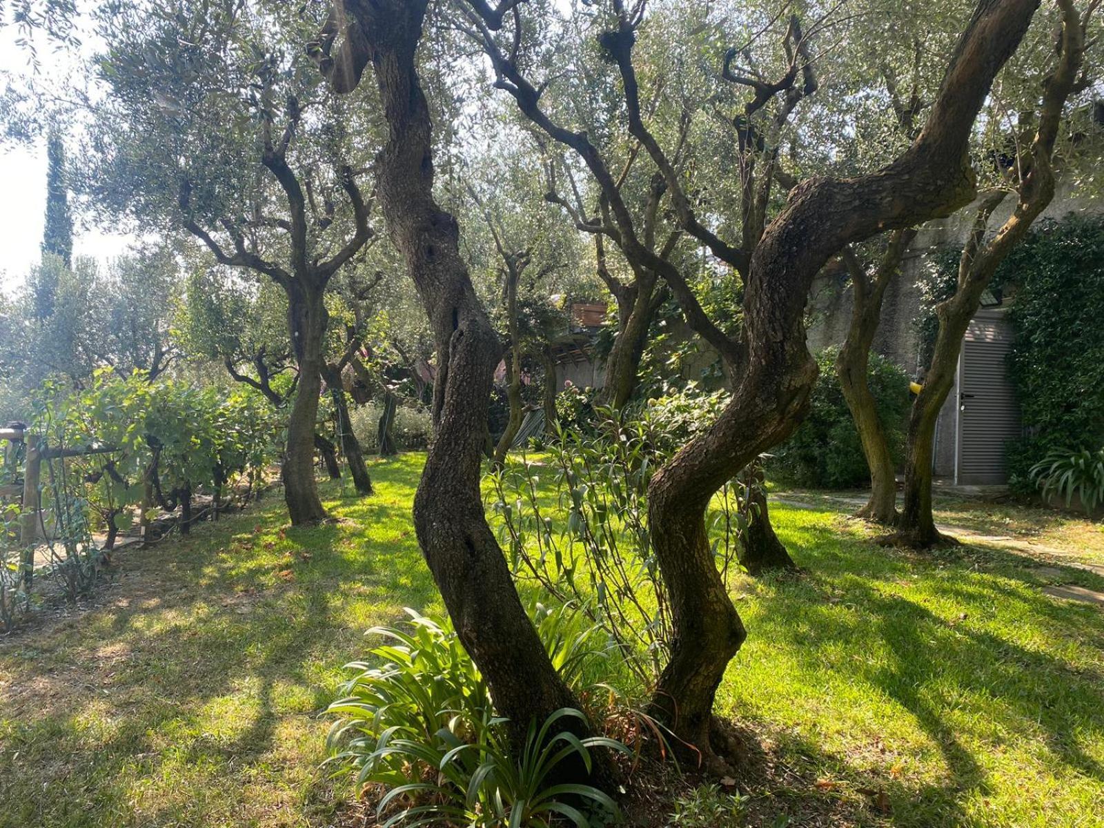 La Sosta Al Bagolaro Apartment Rapallo Bagian luar foto